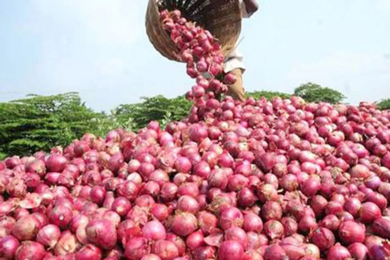 Govt to sell onions at Rs 35/kg in Delhi via Kanda Express