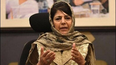 FIRs filed over alleged assault during Srinagar Article 370 protest