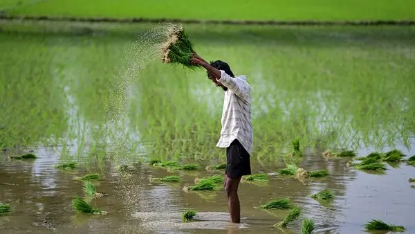 Monsoon deficit narrows to 9% but El Niño looms over agriculture