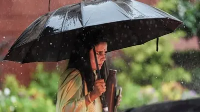 SC tells Mahua Moitra: Freedom fighters faced bullets, you fear eggs