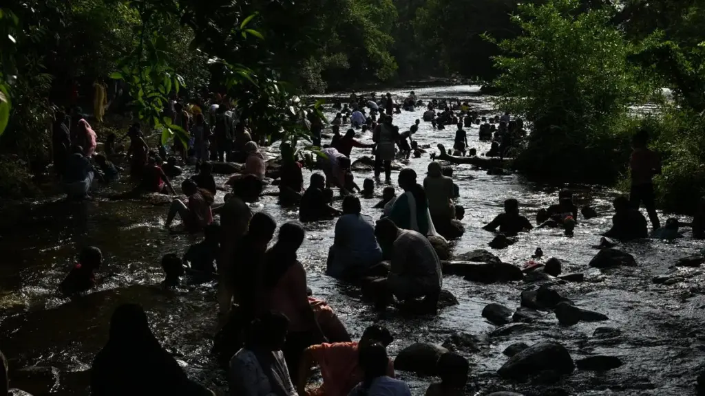 Indian ecotourism becomes commercialised, loses conservation focus