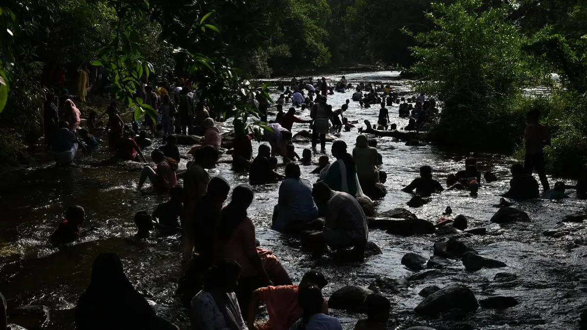 Indian ecotourism becomes commercialised, loses conservation focus