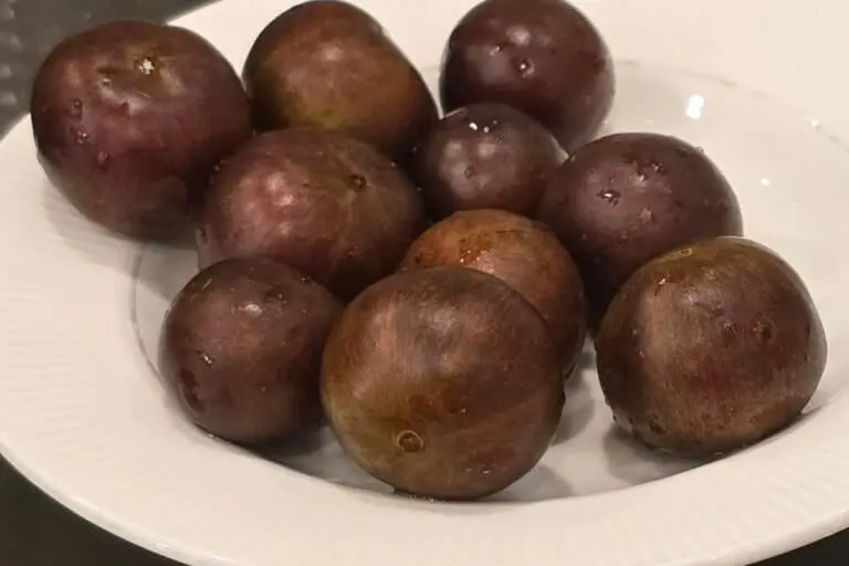 Demand can save indigenous fruits from vanishing, say experts