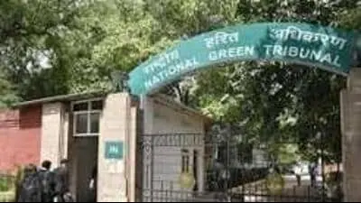 Punjab says NGT cannot penalise NHAI for tree felling on its land