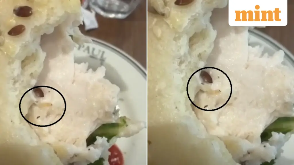 Gurugram man finds live worm in salad at PAUL bakery