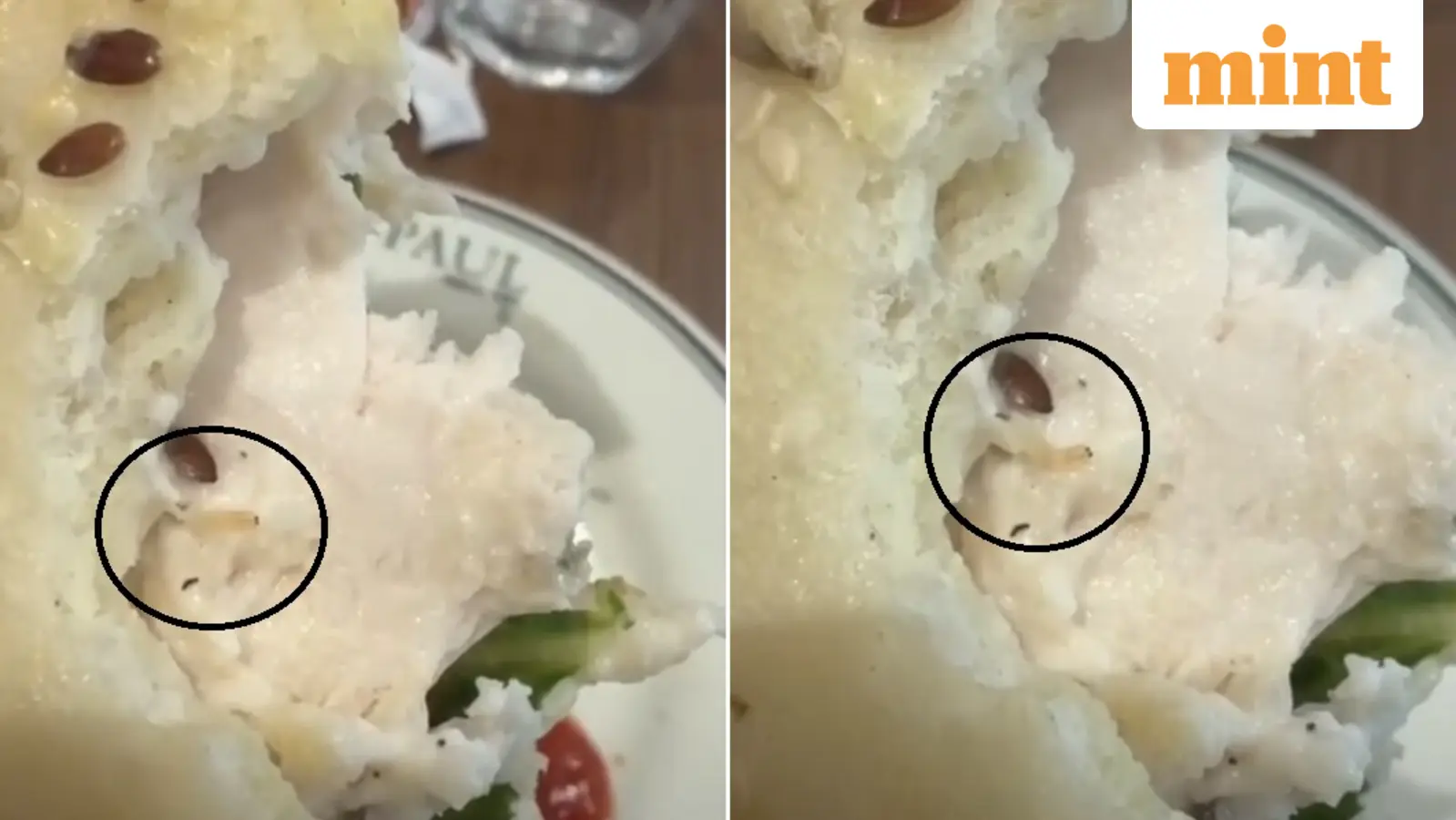 Gurugram man finds live worm in salad at PAUL bakery
