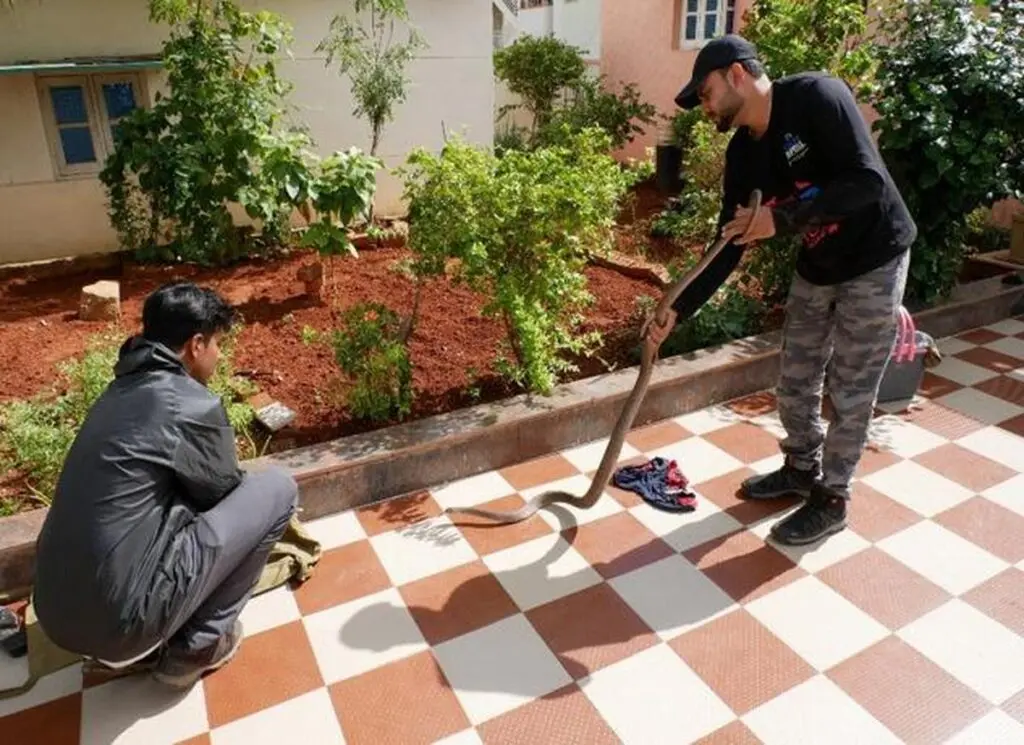 PfA: 30 years of animal rescues, prosthetics, feather implants
