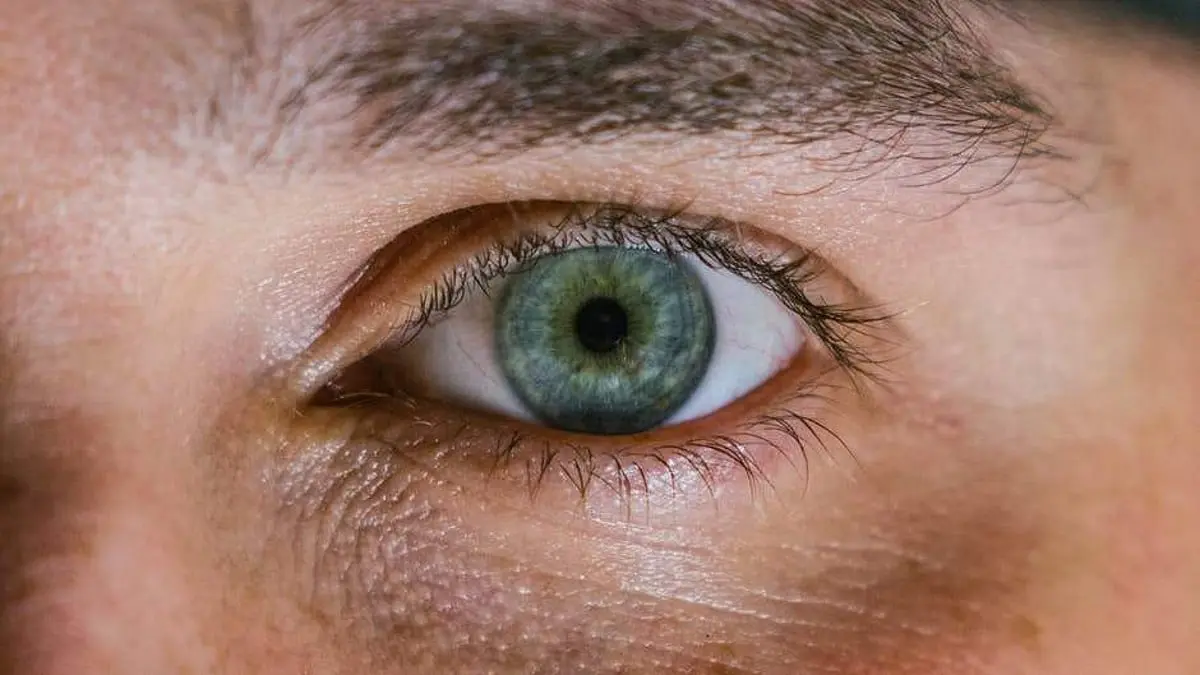 Colour blindness does not hinder children's learning, say doctors