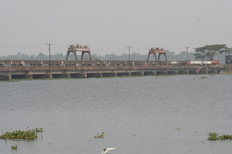 Kuttanad’s Wetland Crisis Demands Rethinking Human Intervention
