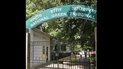 NGT impleads 7 officials in Yamuna sand mining case