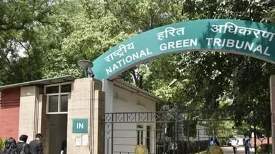 NGT impleads 7 officials in Yamuna sand mining case