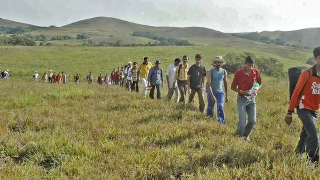 Karnataka forest dept bans commercial trekking in Nelji-Peruru