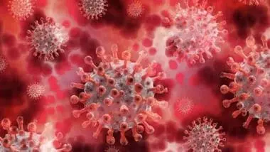 22 children dead in Gujarat Chandipura outbreak, virus hits youngest hardest