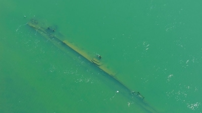 Danube Drought Exposes Nazi Wrecks and Ice Age Fossils