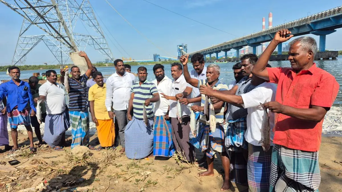 Ennore fisherfolk protest after 4-6 tonnes of fish die in Kosasthalaiyar River