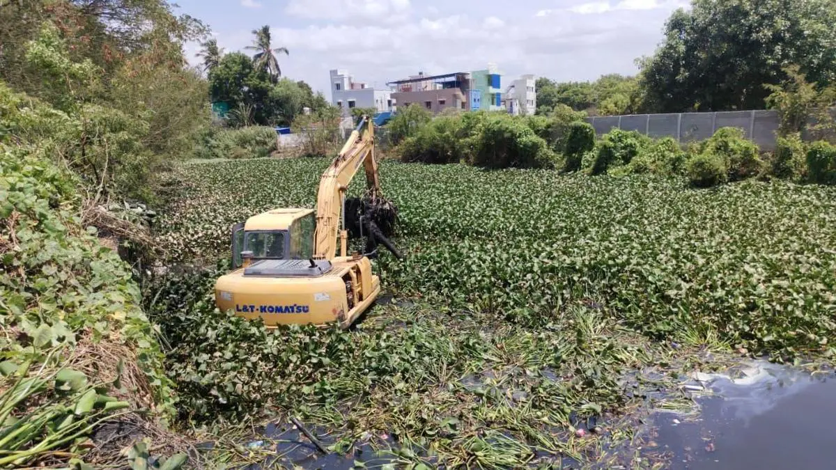 WRD clears water hyacinth from Uyyakondan canal in Tiruchi
