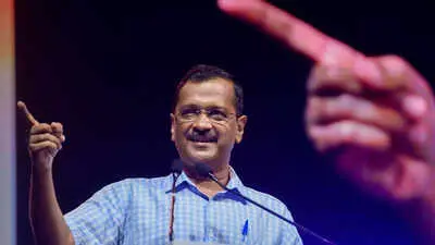 Kejriwal to hold Goa town hall on E20 petrol policy