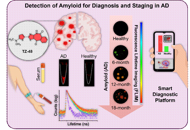 Smartphone platform detects Alzheimer's biomarker cheaply