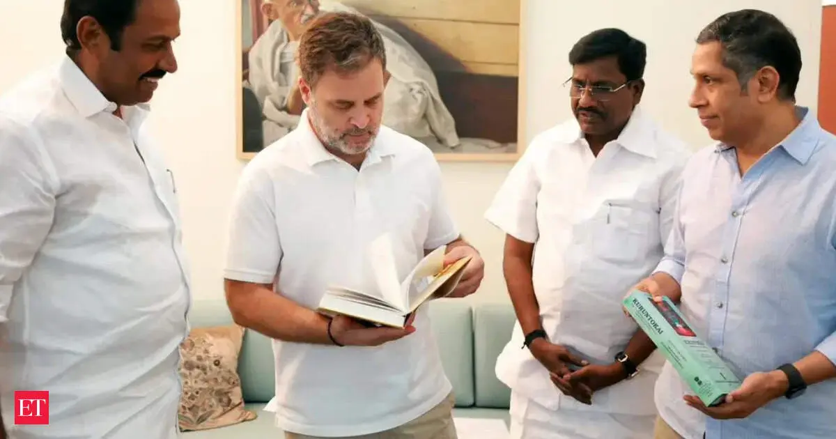 Rahul Gandhi is INDIA bloc's 2029 PM candidate, says Tamil Nadu minister
