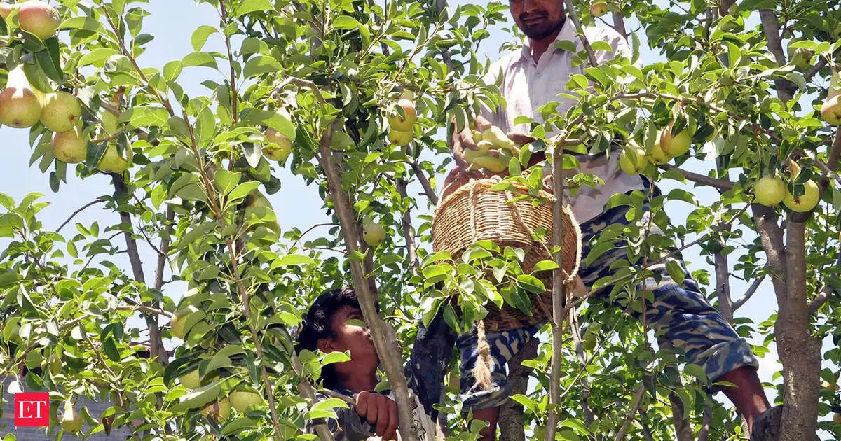 Himachal signs MoU to unlock Rs 22,600 crore forest economy