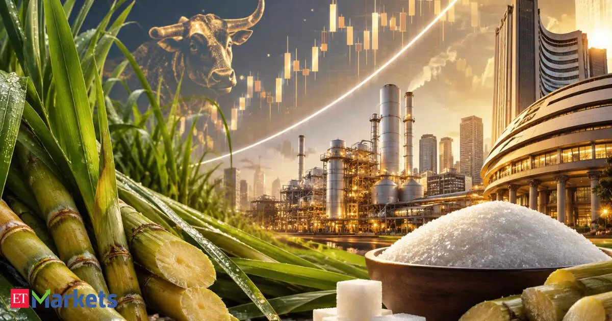 Sugar stocks rally up to 11% as prices hit record Rs 50/kg