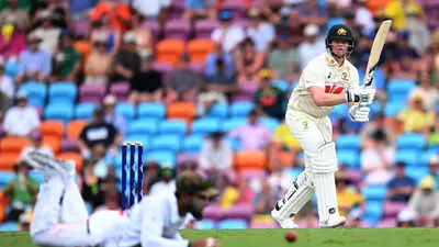 Fan Mocks Steve Smith During Sight Screen Delay in Darwin