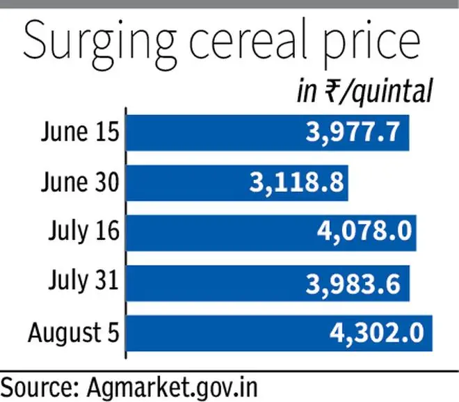 Rice prices near 10-month high, domestic rates up 10%