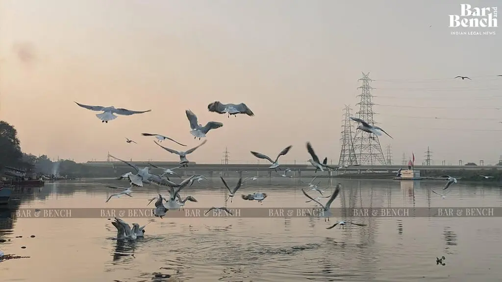 Delhi High Court slams authorities over Yamuna cleaning inaction