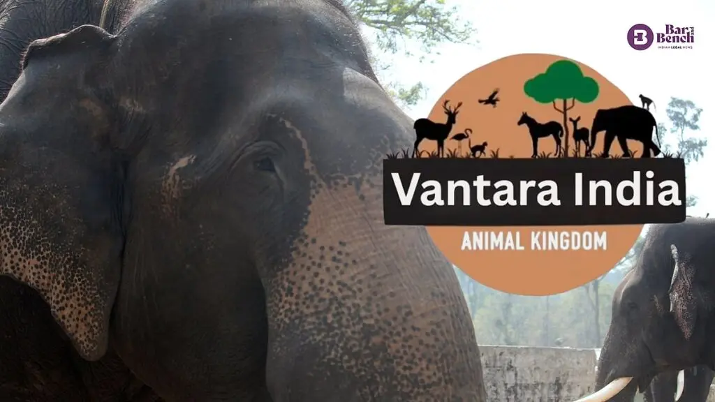 Vantara imposes 12-month self-ban on animal imports, tells Supreme Court