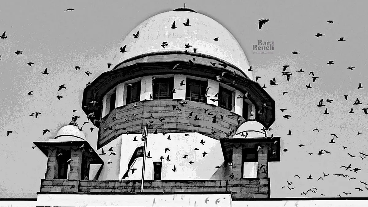 Supreme Court fines actress, lawyer Rs 5 lakh each