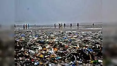 MPCB orders BMC to overhaul beach sanitation, enforce plastic ban