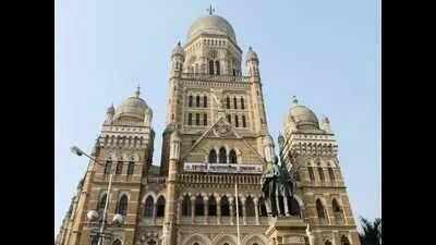BMC floats Rs 58 crore Mumbadevi tender despite stay on parking project