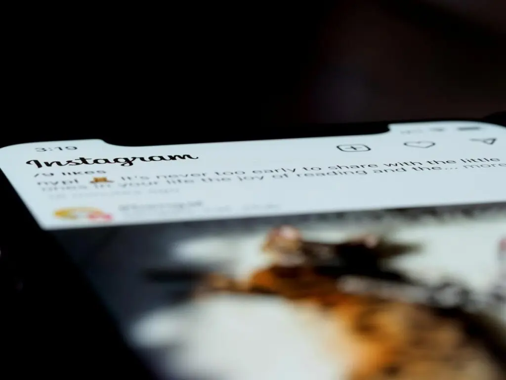 Social media reshapes Indian eating habits, study finds