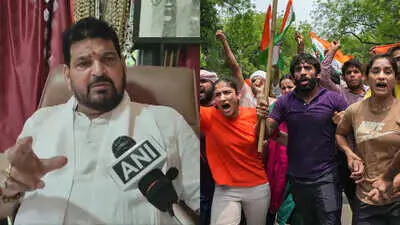 Brij Bhushan says Hooda family conspired after WFI election win