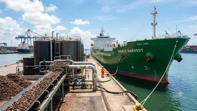 Indian cashew shell waste tested as marine fuel on cargo ship