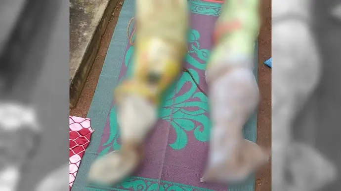Chhattisgarh man axes parents to death, packs bodies in sack