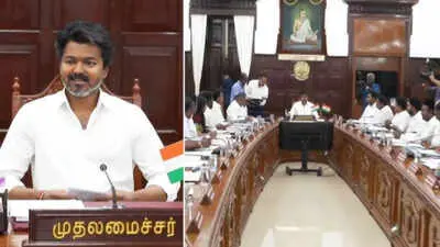TN CM Vijay-led MPs' meet opposes delimitation, boycotted by DMK, AIADMK