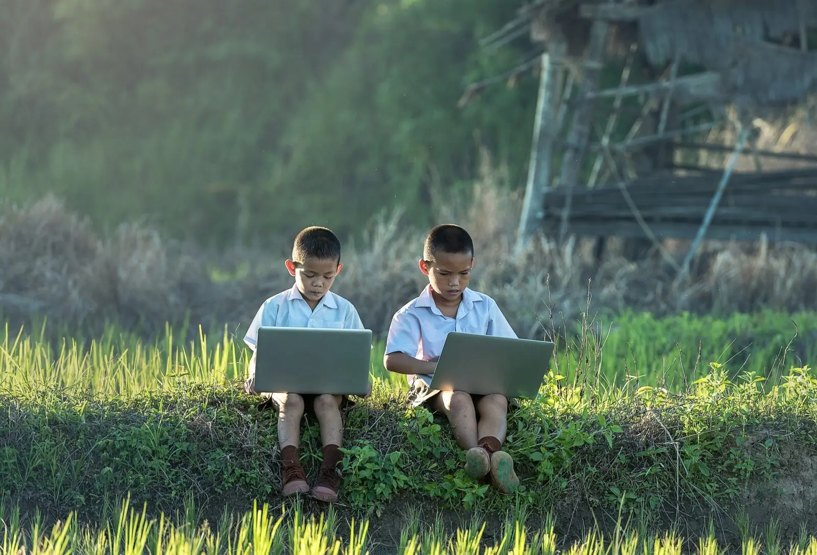 Rajasthan HC seeks action plan on AI impact on children