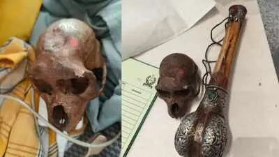 Monkey skull found in passenger's hand baggage at Delhi airport