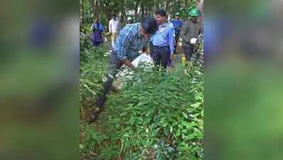 Bengaluru parks to see fresh citizen-led volunteering drive