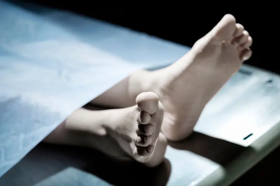 Bengaluru Man Strangles Daughters Aged 10, 5, Attempts Suicide
