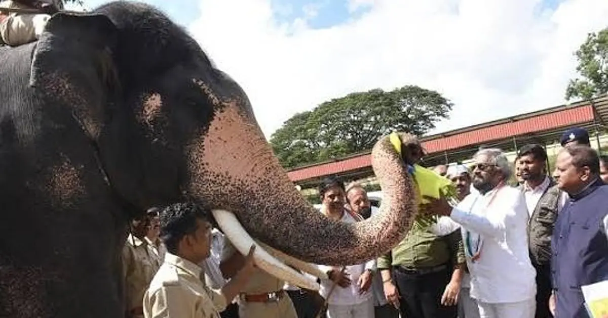 Khandre urges Abhimanyu be made Nishaane elephant in Dasara