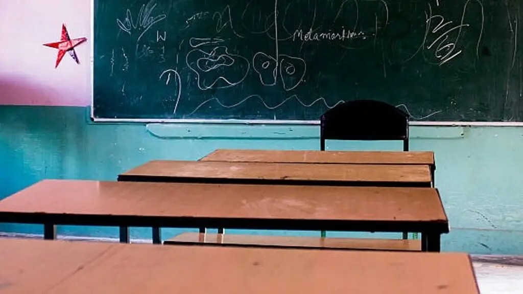 Andhra boy, 6, dies after teacher slaps him for homework