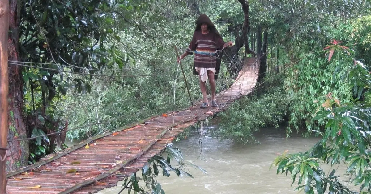 136 footbridges built in Karnataka's Malnad region
