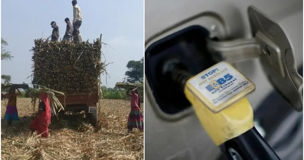 Government rejects ethanol link as sugar prices surge