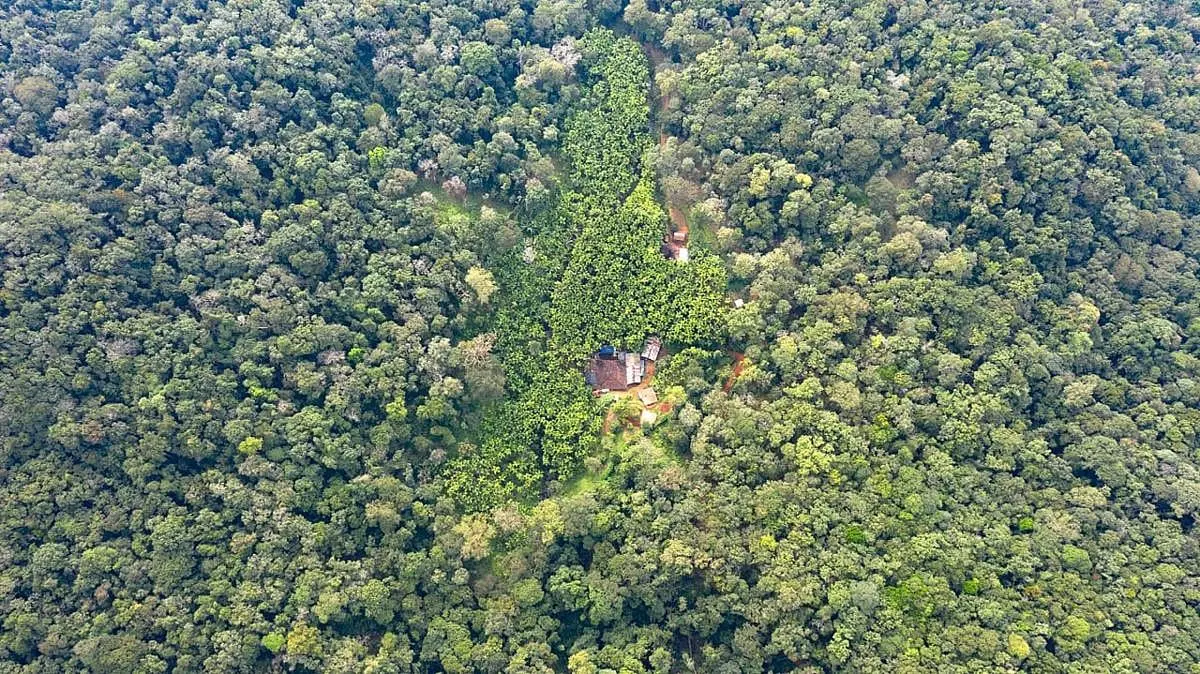 Centre clears Goa-Tamnar power line, seeks wildlife plan