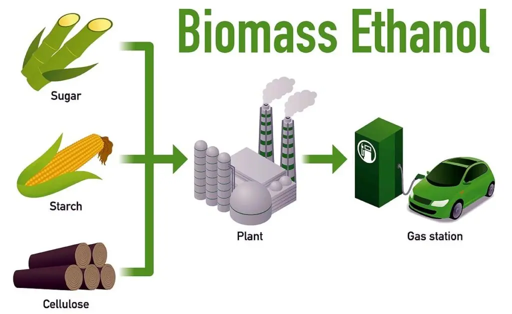 E20 ethanol target raises food vs fuel debate in India
