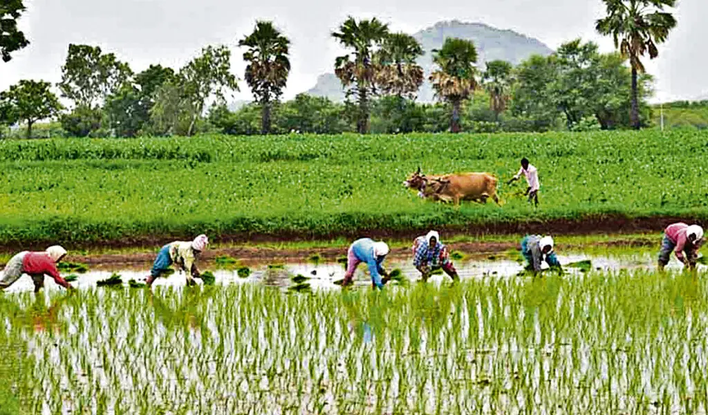 World Bank lauds AI weather forecasts aiding Telangana farmers
