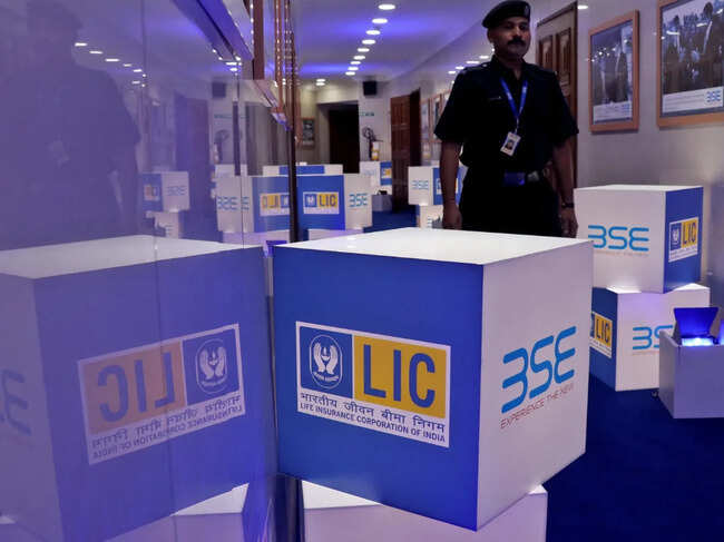LIC sees no further government stake sale for 18 to 24 months