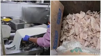 Karnataka FDA seizes 132 kg rotten meat, fungus veggies
